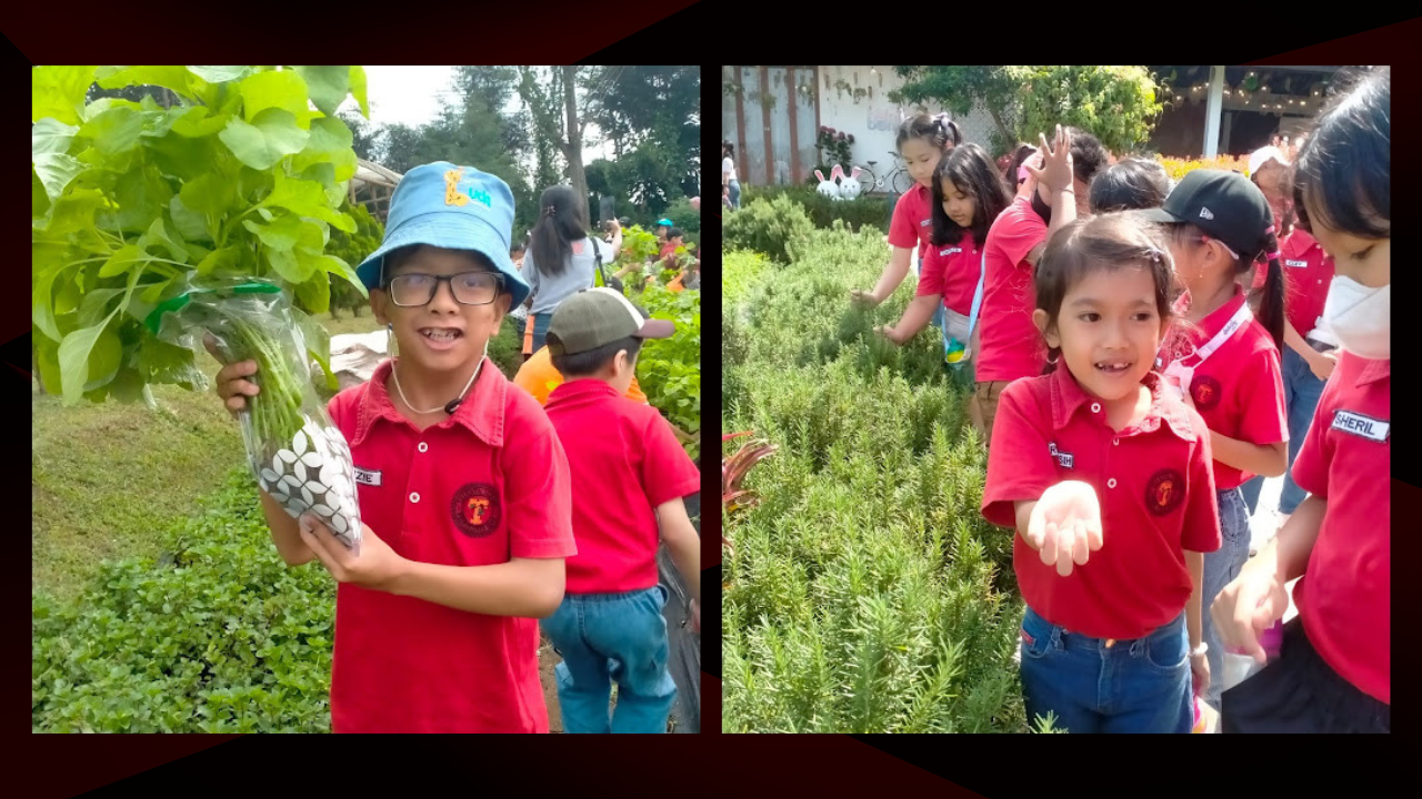 MENGENAL BUDIDAYA JAMUR DI IP FARM LEMBANG